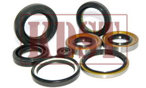 oil seal manufacturers in India